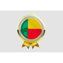 Belize Flag Style 11 Sticker - DecalsHouse