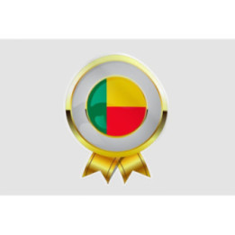 Belize Flag Style 14 Sticker - DecalsHouse