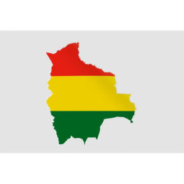 Bolivia Map Style 2 Sticker - DecalsHouse