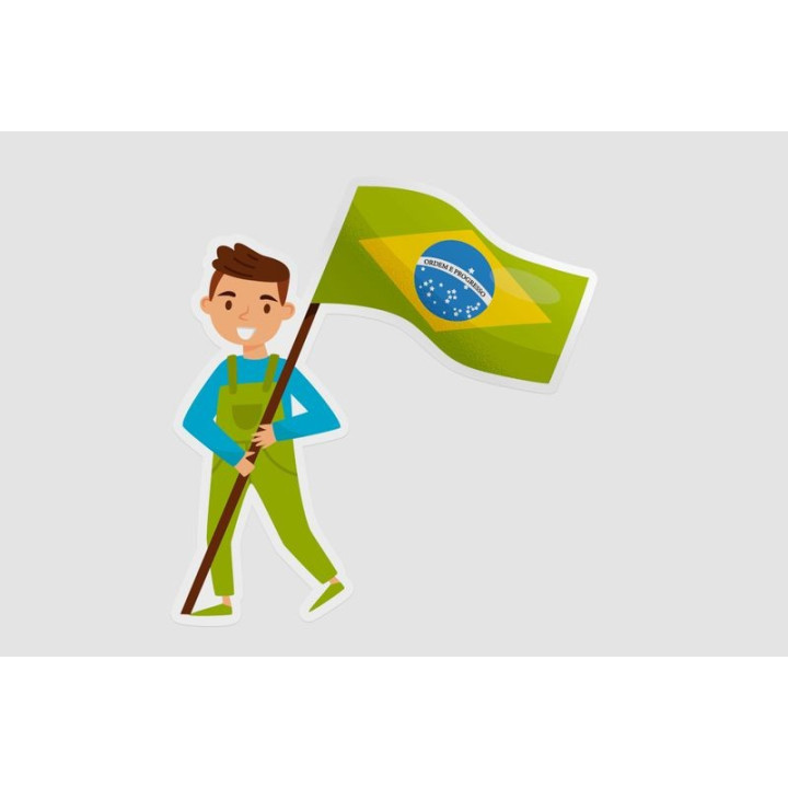 Boy With Brazilian Flag Sticker - DecalsHouse