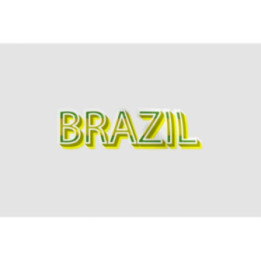 Brazil Flag Color Text Effect Sticker - DecalsHouse