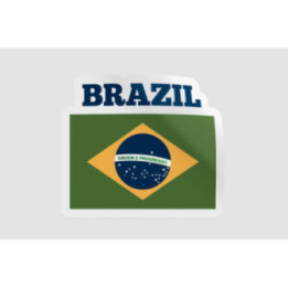 Brazil Flag Dh Sticker - DecalsHouse