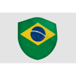 Brazil Flag Style 27 Sticker - DecalsHouse