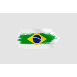 Brazil Flag Style 9 Sticker - DecalsHouse