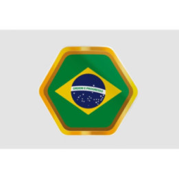 Brazil Golden Badge Dh Style 8 Sticker - DecalsHouse