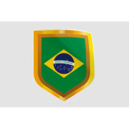 Brazil Golden Badge Dh Style 9 Sticker - DecalsHouse