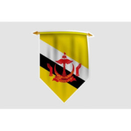 Brunei Flag Style 11 Sticker - DecalsHouse