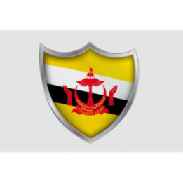 Brunei Flag Style 7 Sticker - DecalsHouse