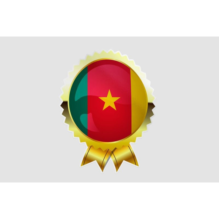 Cameroon Flag Style 2 Sticker - DecalsHouse