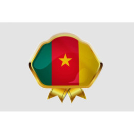 Cameroon Flag Style 3 Sticker - DecalsHouse
