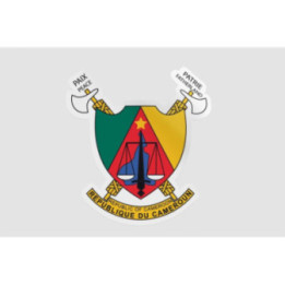 Cameroon National Emblem Sticker - DecalsHouse