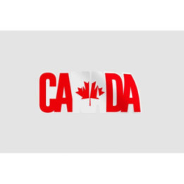 Canada Style 4 Sticker - DecalsHouse