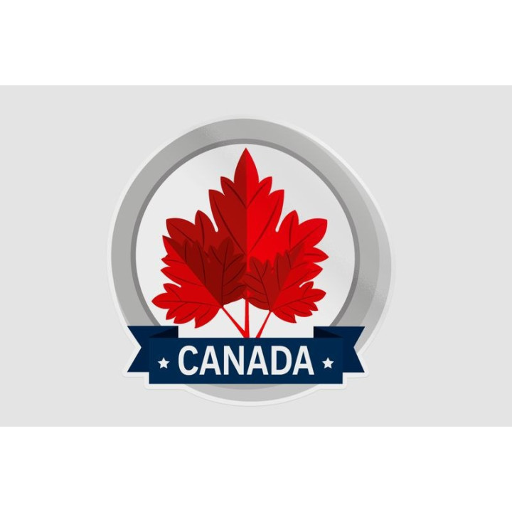 Canada Style 45 Sticker - DecalsHouse
