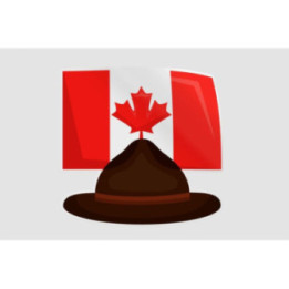 Canada Style 48 Sticker - DecalsHouse