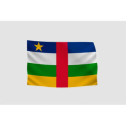 Central African Republic Flag Style 17 Sticker - DecalsHouse