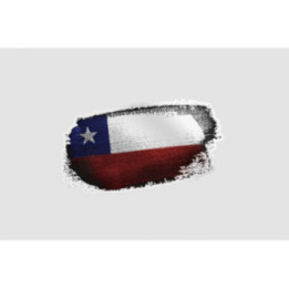 Chile Flag Style 10 Sticker - DecalsHouse