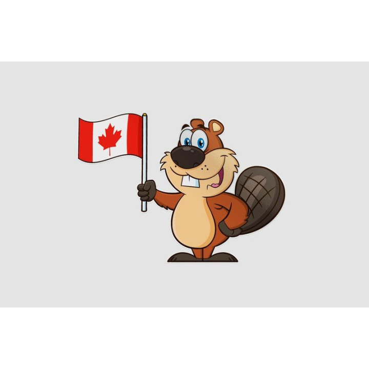 Cute Beaver With Canadian Flag Sticker - DecalsHouse