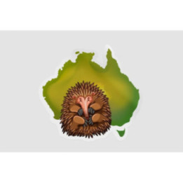 Echidna And Australia Map Sticker - DecalsHouse