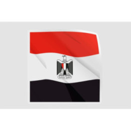 Egypt Flag Elegant Style 2 - DecalsHouse