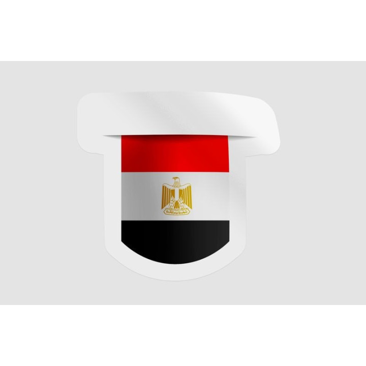 Egypt Flag Style 14 - DecalsHouse