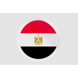 Egypt Flag Style 21 - DecalsHouse