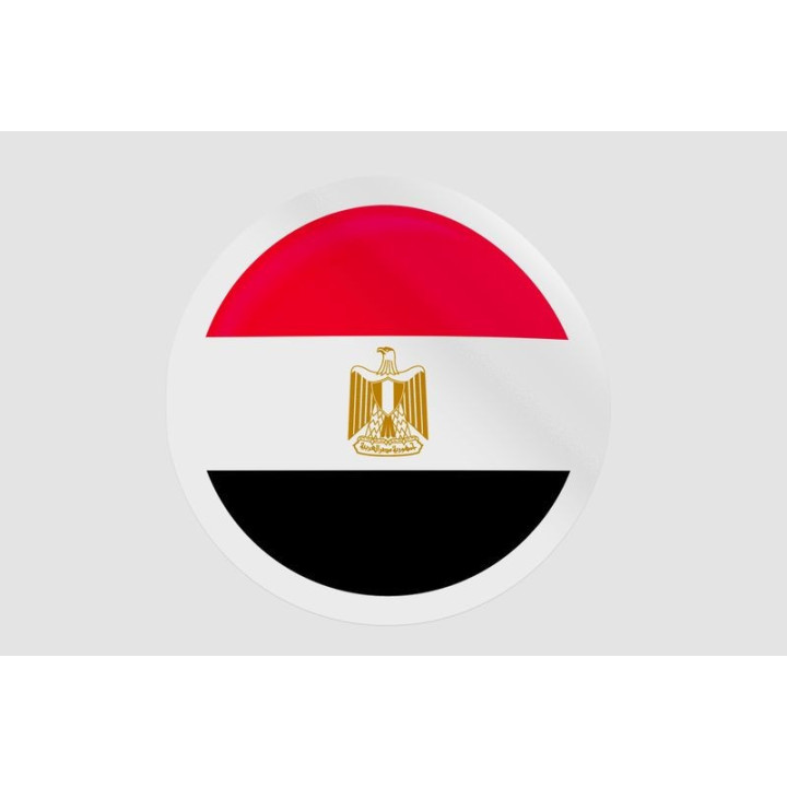 Egypt Flag Style 21 - DecalsHouse