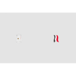 Egypt Flag Style 6 - DecalsHouse