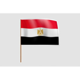 Egypt Flag Waving - DecalsHouse