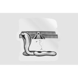 Egypt Icon Style 4 - DecalsHouse