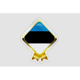 Estonia Flag Badge - DecalsHouse