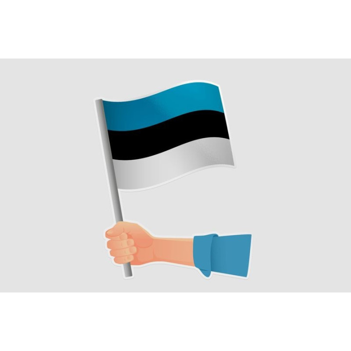 Estonia Flag Hand - DecalsHouse