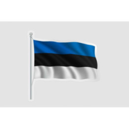 Estonia Flag Pole Style 3 - DecalsHouse