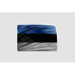 Estonia Flag Style 6 - DecalsHouse