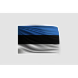 Estonia Flag Style 7 - DecalsHouse