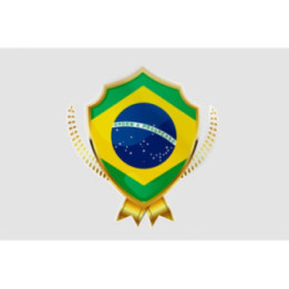 Flag Badge Of Brazil Style 9 Sticker - DecalsHouse