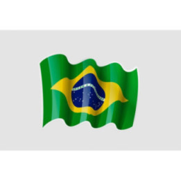 Flag Of Brazil Style 10 Sticker - DecalsHouse