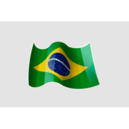 Flag Of Brazil Style 8 Sticker - DecalsHouse