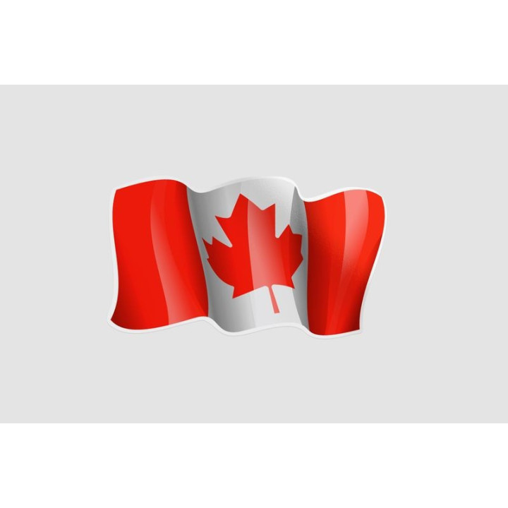 Flag Of Canada Style 6 Sticker - DecalsHouse