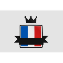 France Flag Badge Style 13 - DecalsHouse