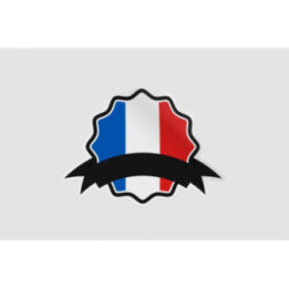 France Flag Badge Style 16 - DecalsHouse