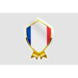 France Flag Badge Style 4 - DecalsHouse