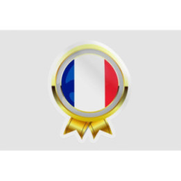 France Flag Badge Style 9 - DecalsHouse