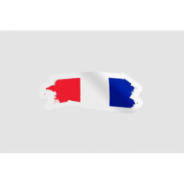 France Flag Bce - DecalsHouse