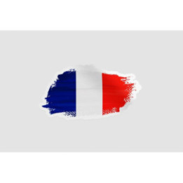 France Flag Brush Bce - DecalsHouse