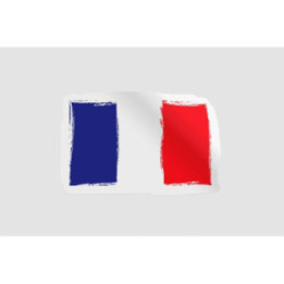 France Flag Colors Style 3 - DecalsHouse