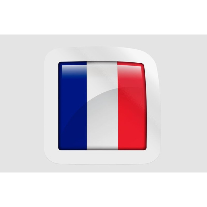 France Flag Icon Style 19 - DecalsHouse
