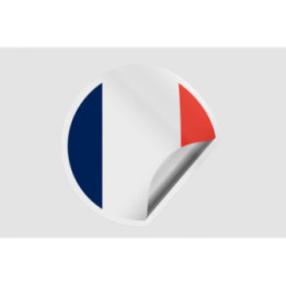 France Flag Icon Style 3 - DecalsHouse