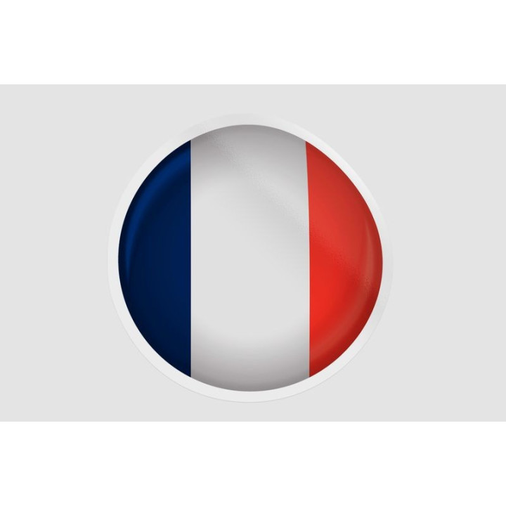 France Flag Icon Style 4 - DecalsHouse