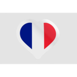 France Flag Illustration Style 6 - DecalsHouse