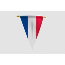 France Flag Pennant Style 3 - DecalsHouse